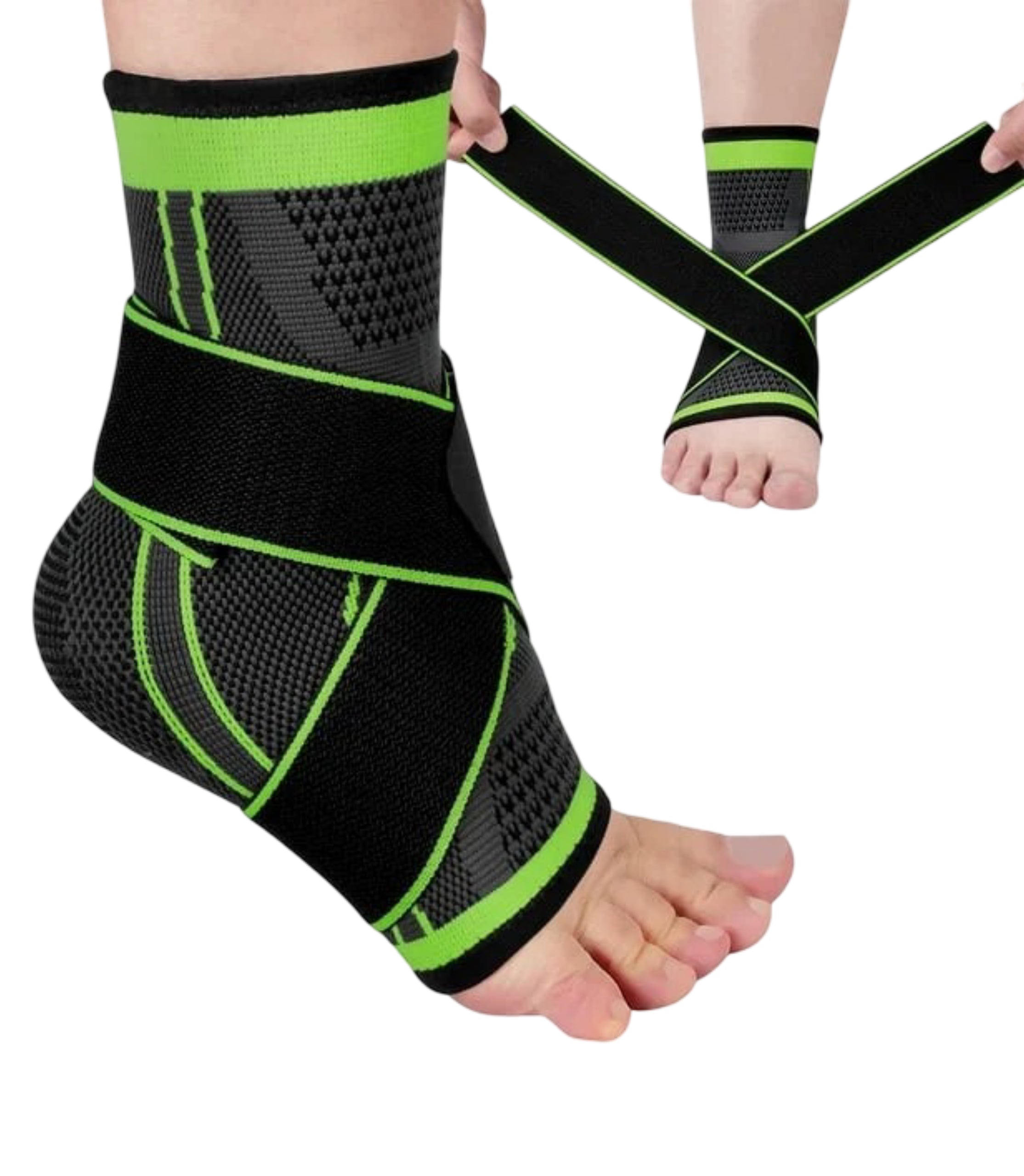 Glezniera Elastica