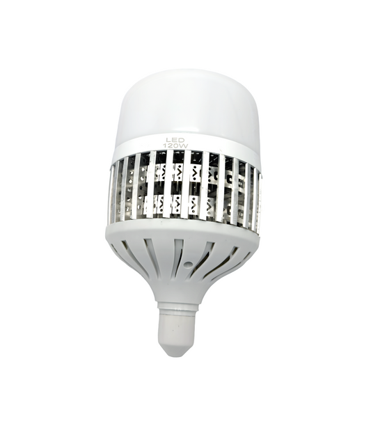 Bec Lampa 60W (12-4) En-gross