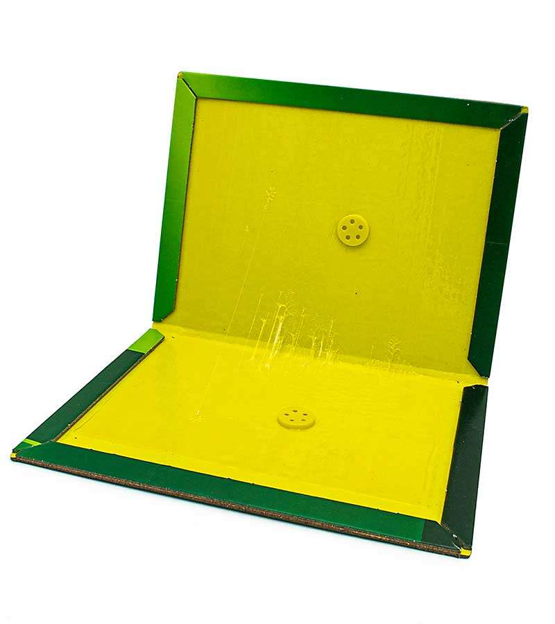 Capcana cu adeziv pentru soareci Green Trap