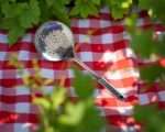 Spumiera Din Inox En-gross - imagine 5